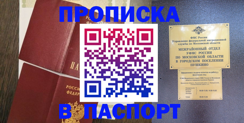 прописка поиск в Оленегорске